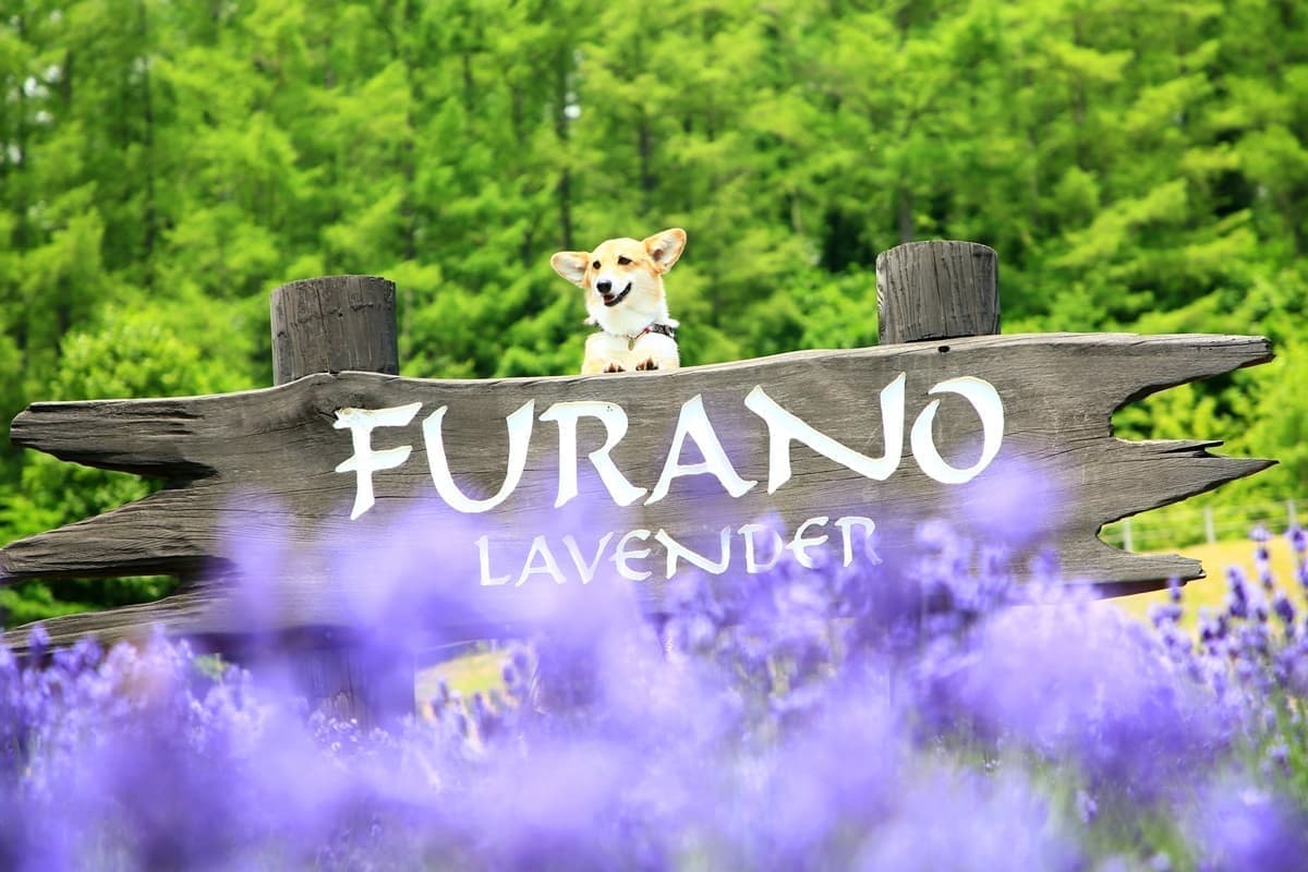 ファミリーロケーションフォト