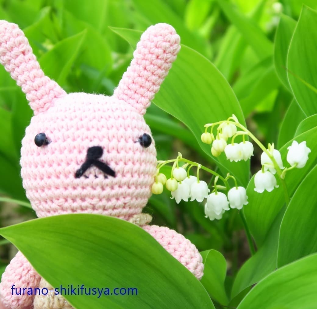 四季風舎のふうちゃん