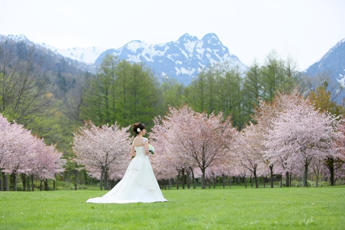 桜のウェディングフォト