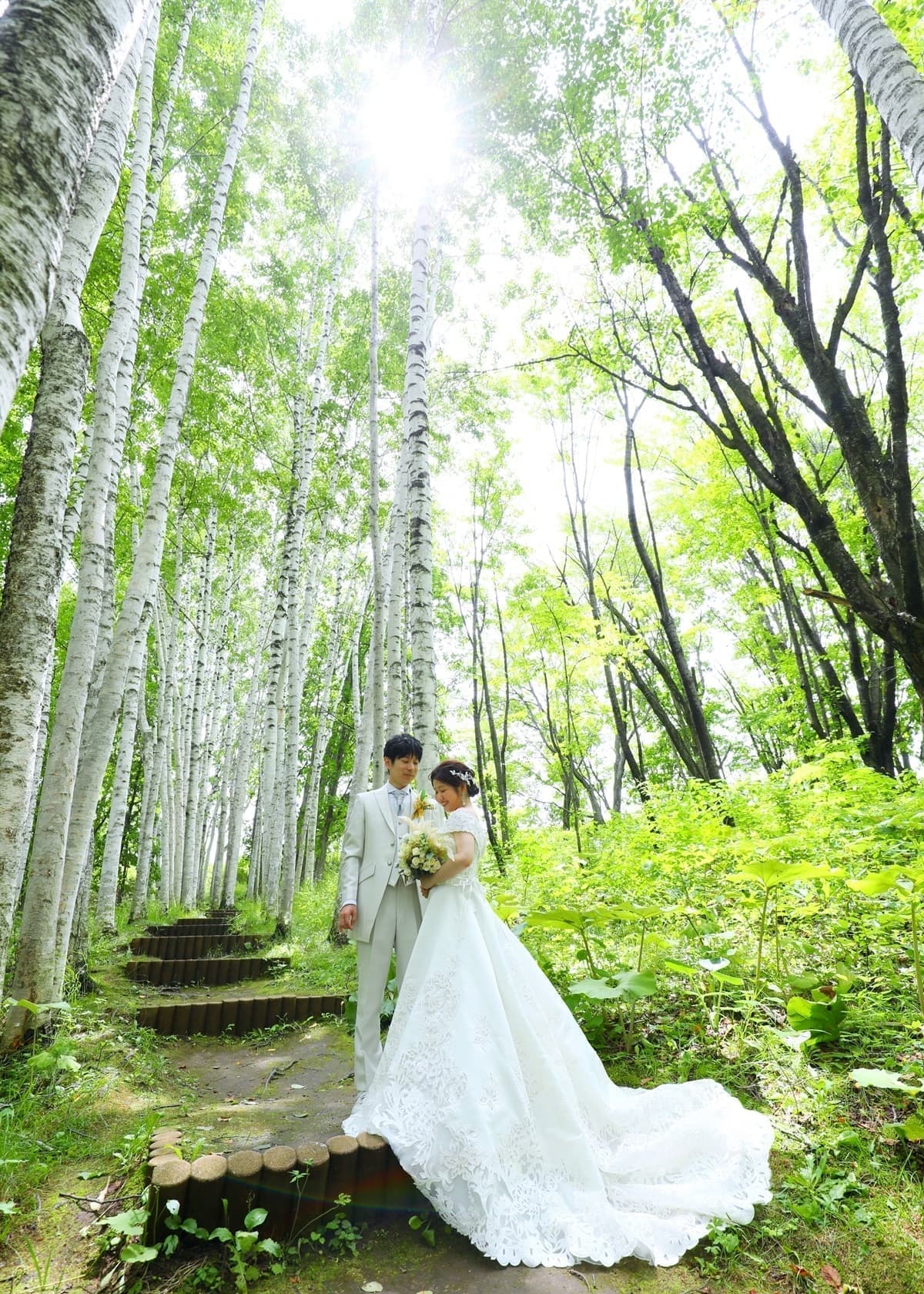 白樺林でウェディングフォト