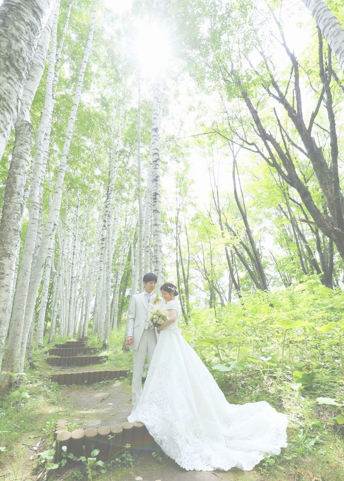 白樺林でウェディングフォト