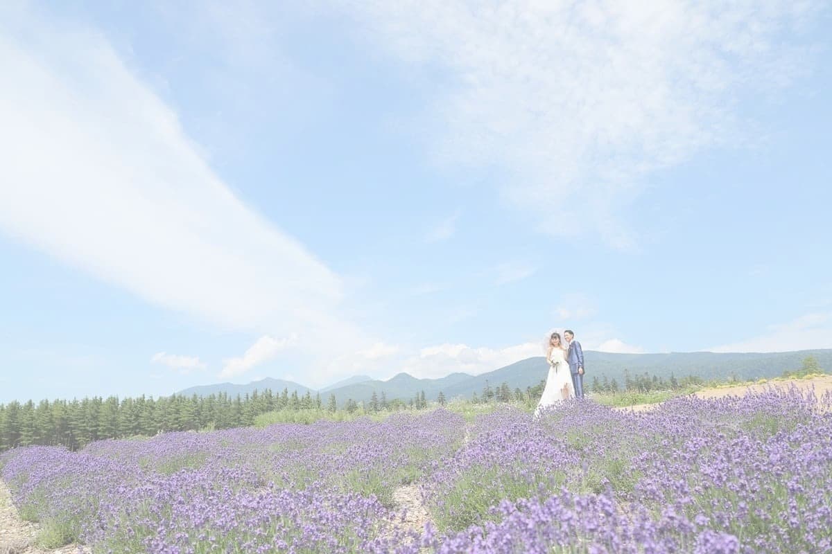 ラベンダー畑のウェディングフォト